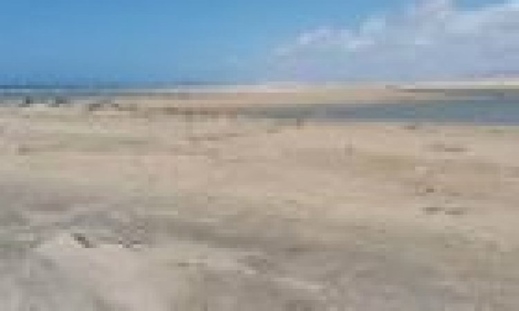 الفريق الجيولوجي في هيئة المساحة الجيولوجية بحضرموت يقيم المعادن الثقيلة بشواطئ ساحل حضرموت