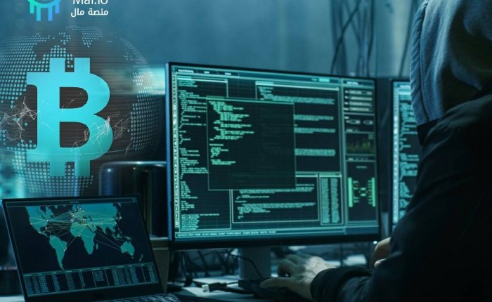 العملات الرقمية: بين سحر الأرباح وخطر الاحتيال